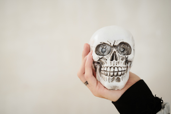 Someone Holds Skull in His Hand on Light Background
